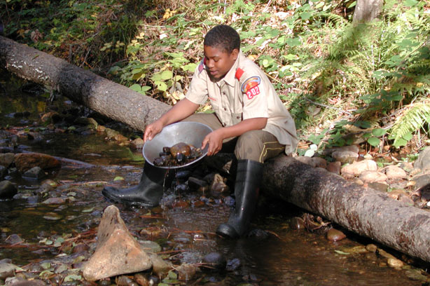 anthony_panning.jpg (112465 bytes)