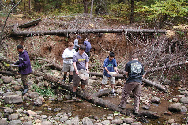 prospectors2.jpg (133940 bytes)