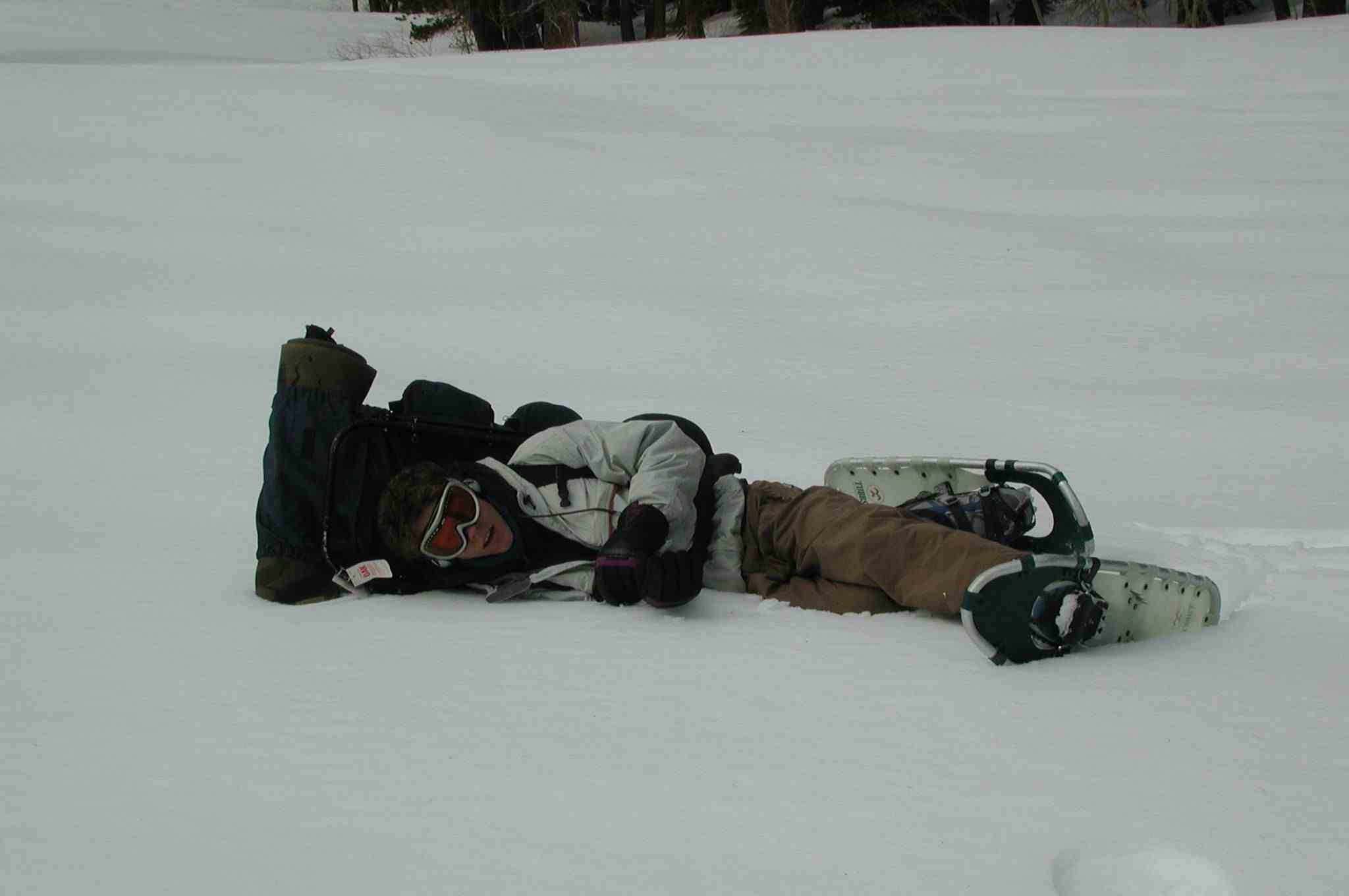 05_stew_down.jpg (217069 bytes)